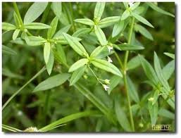 images_057
